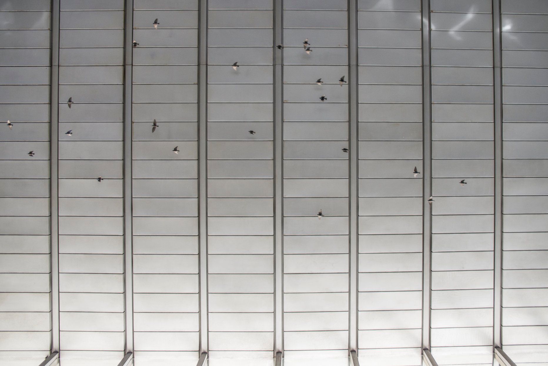 stazione termini, soffitto