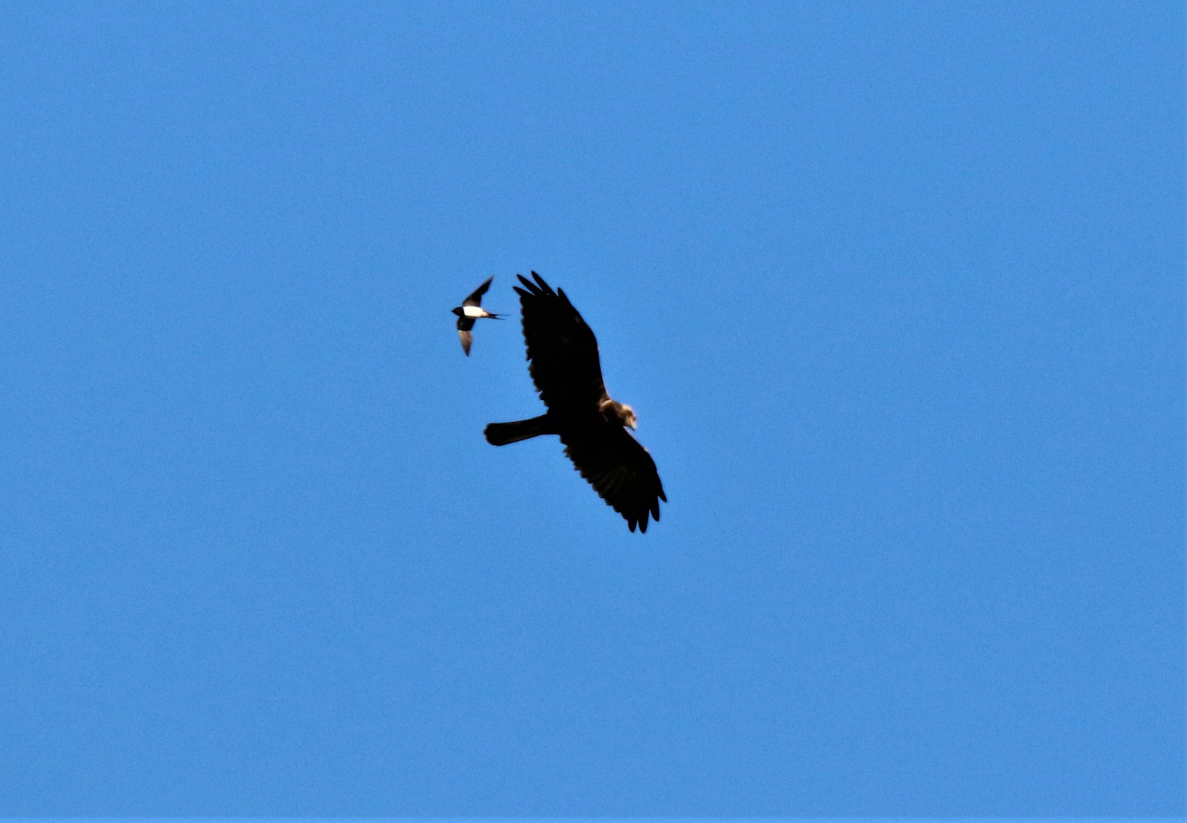 Dangerous crossing!!