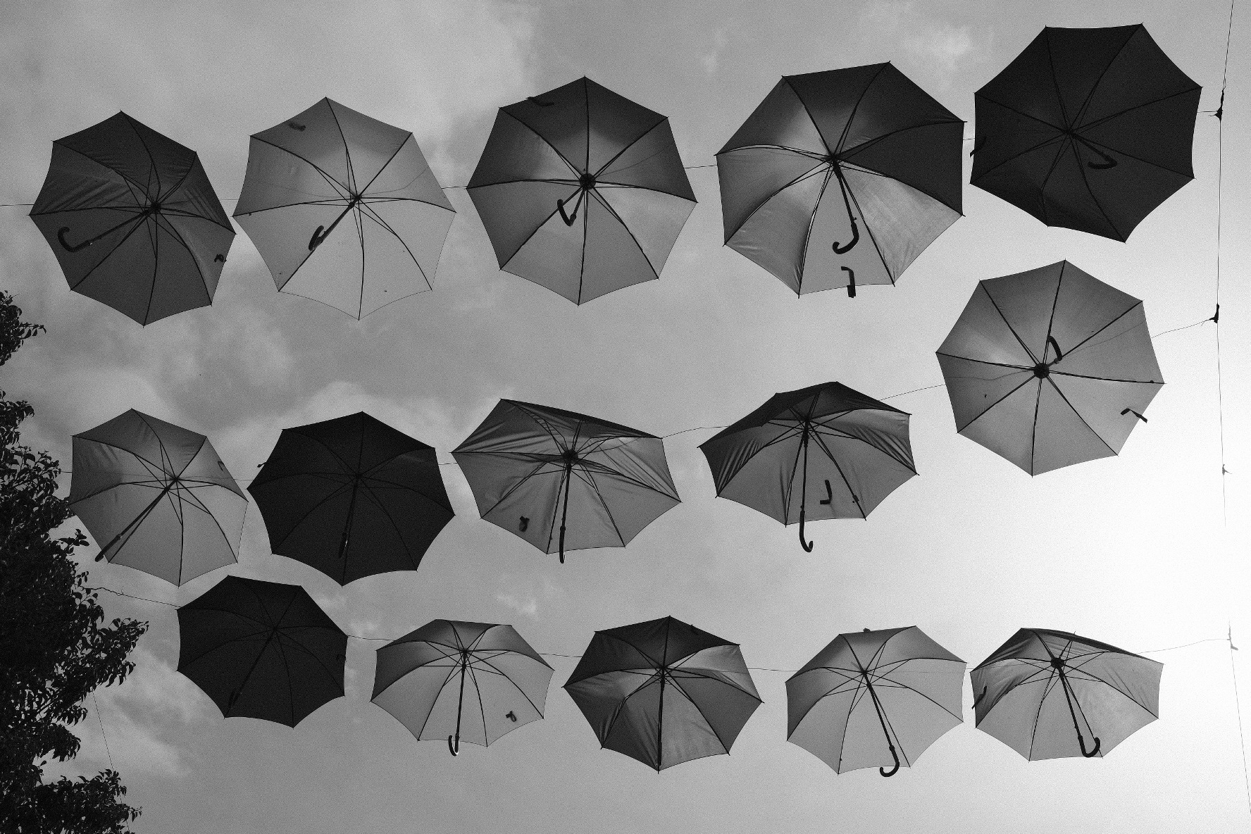 Umbrellas