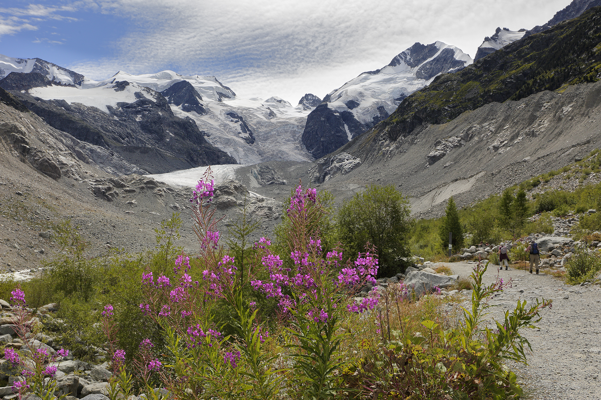 Ghiacciaio del Morteratsch