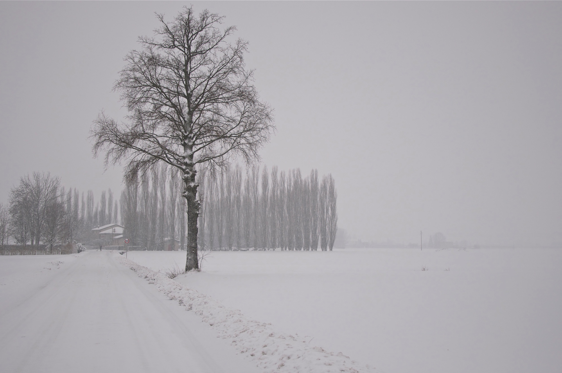 Durante una nevicata