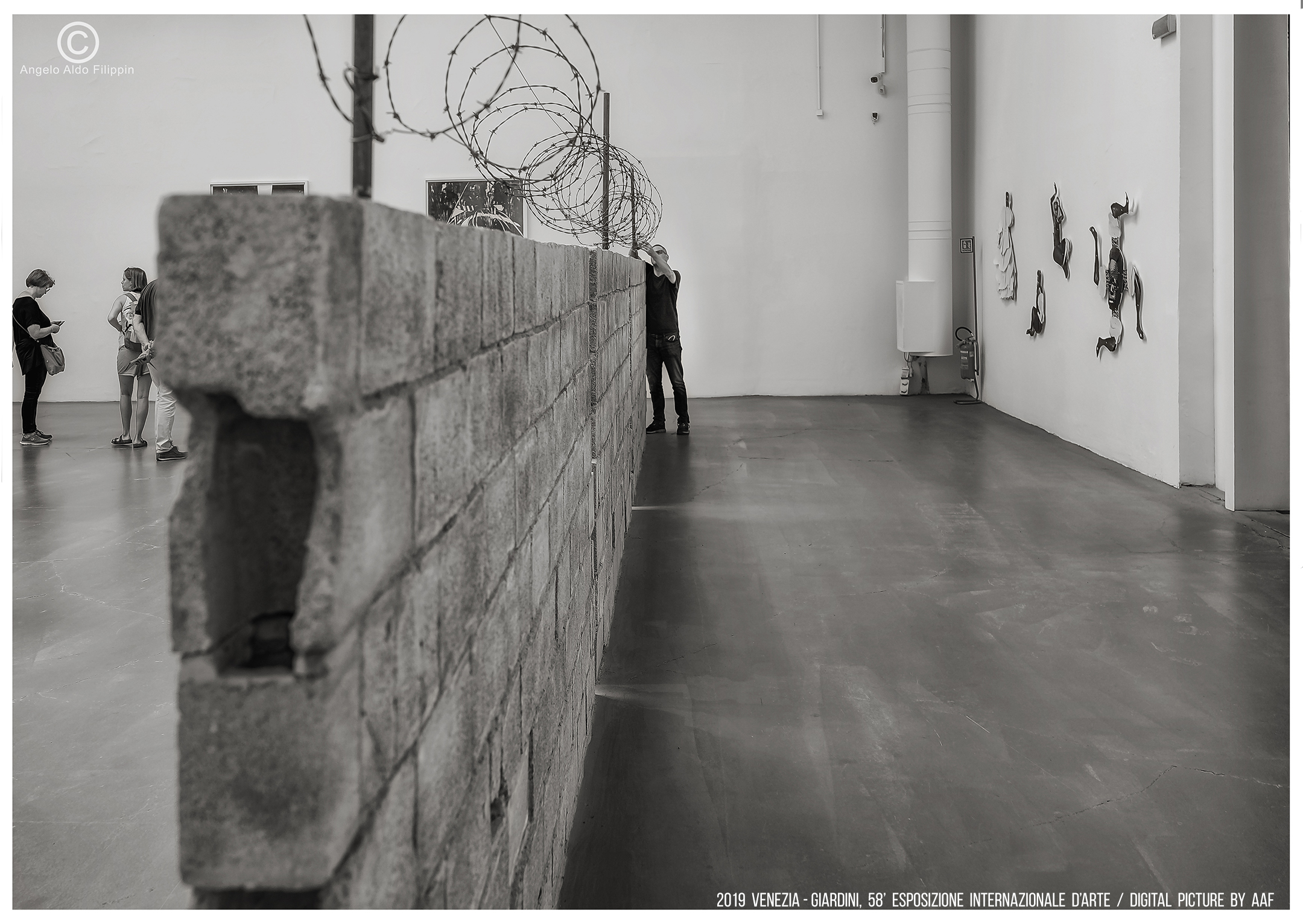 2019 Venezia, Giardini-58. Esposizione Intern. d'Arte