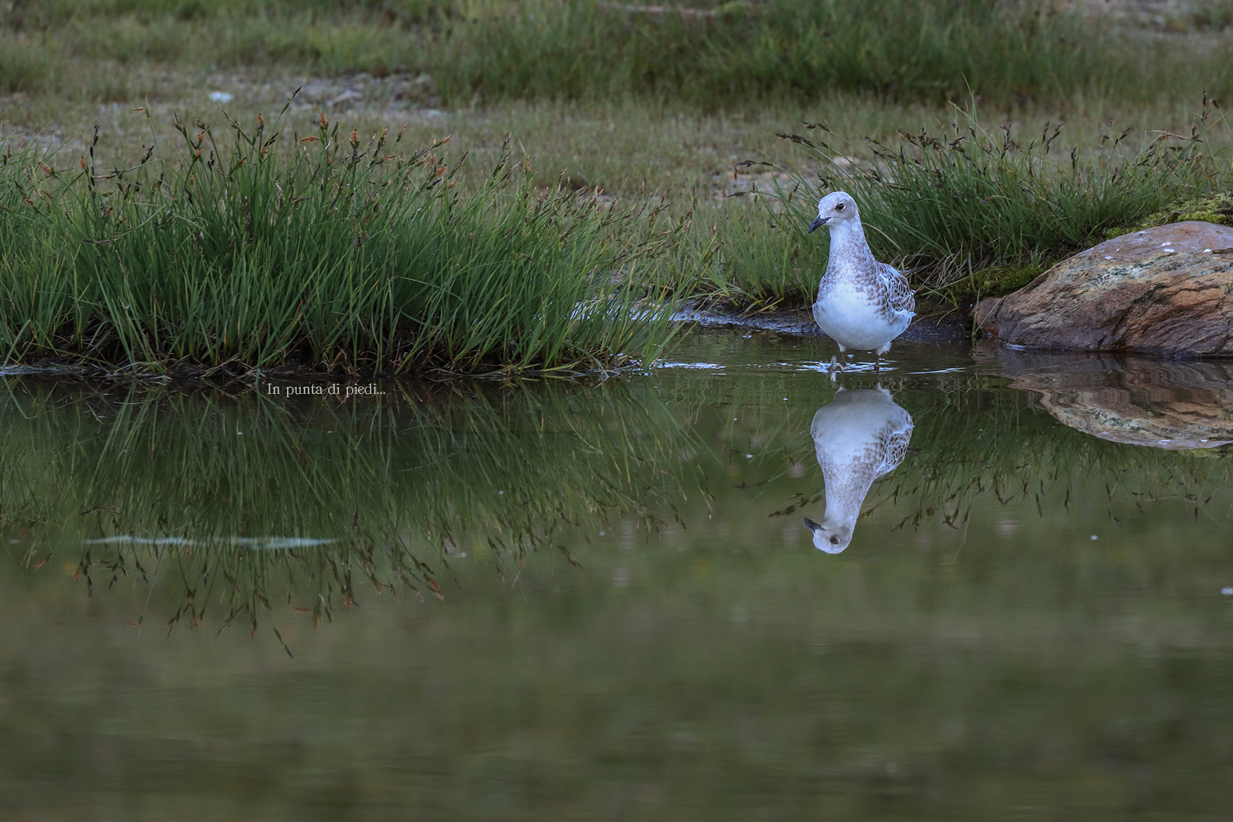 Non avrebbe dovuto essere lì...
