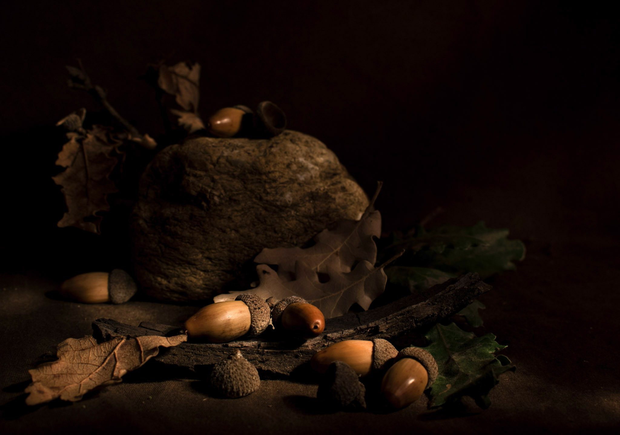 Untitled Photo