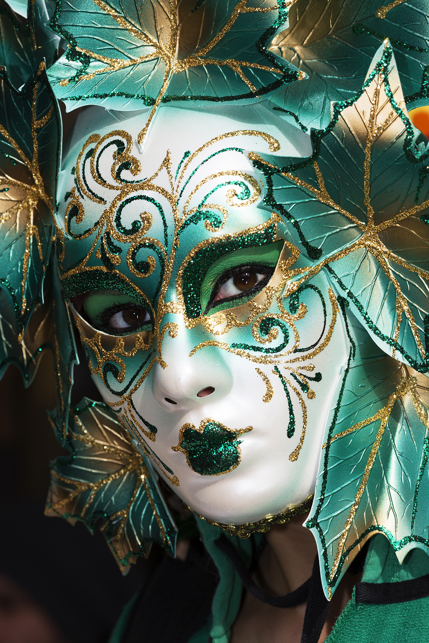 Venezia 2013 Carnevale 4