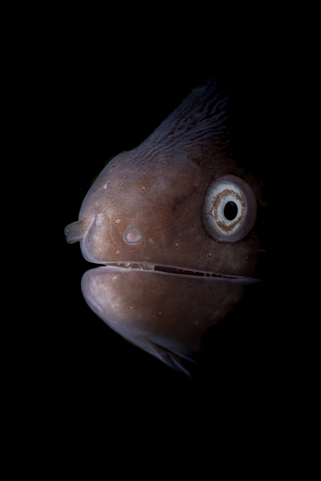 sorriso a denti stretti