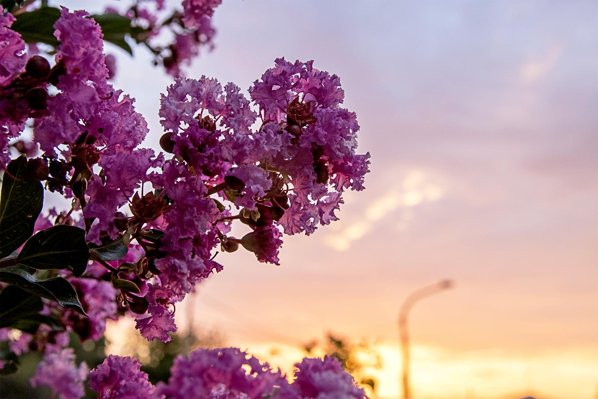 Untitled Photo