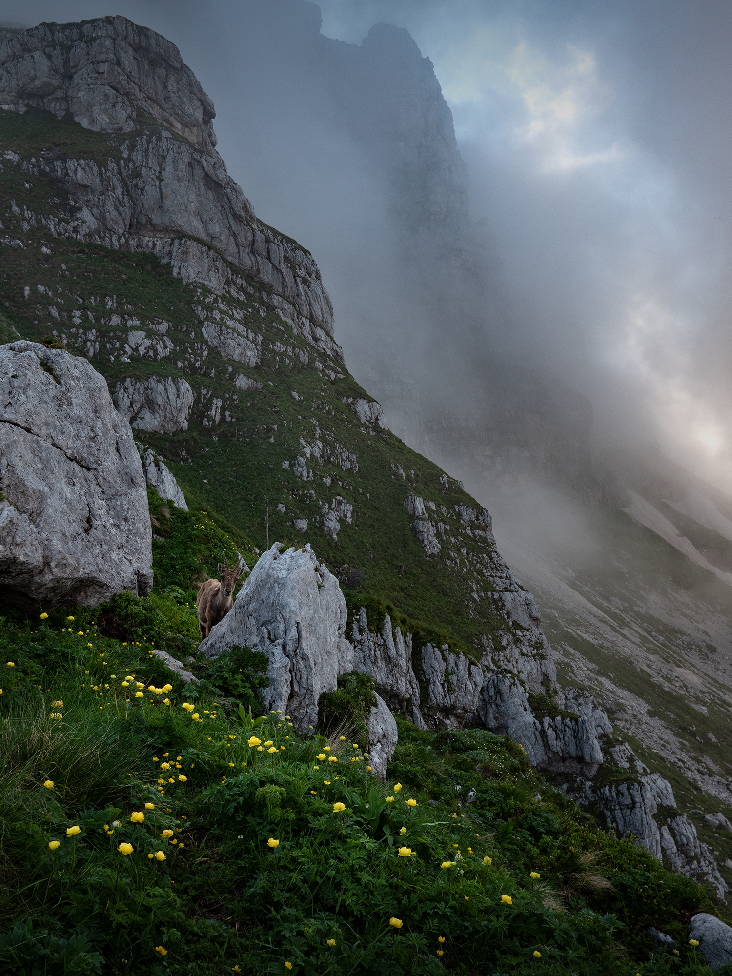 Sguardo - Alpi Giulie - Italy