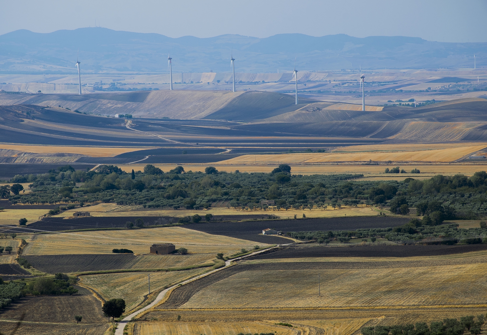 L'assolata terra di Puglia