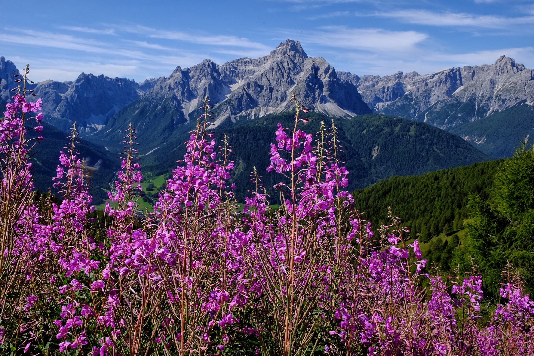 Veduta delle Dolomiti da Monte Elmo