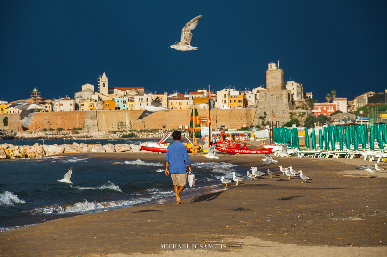 The Man and the Seagulls