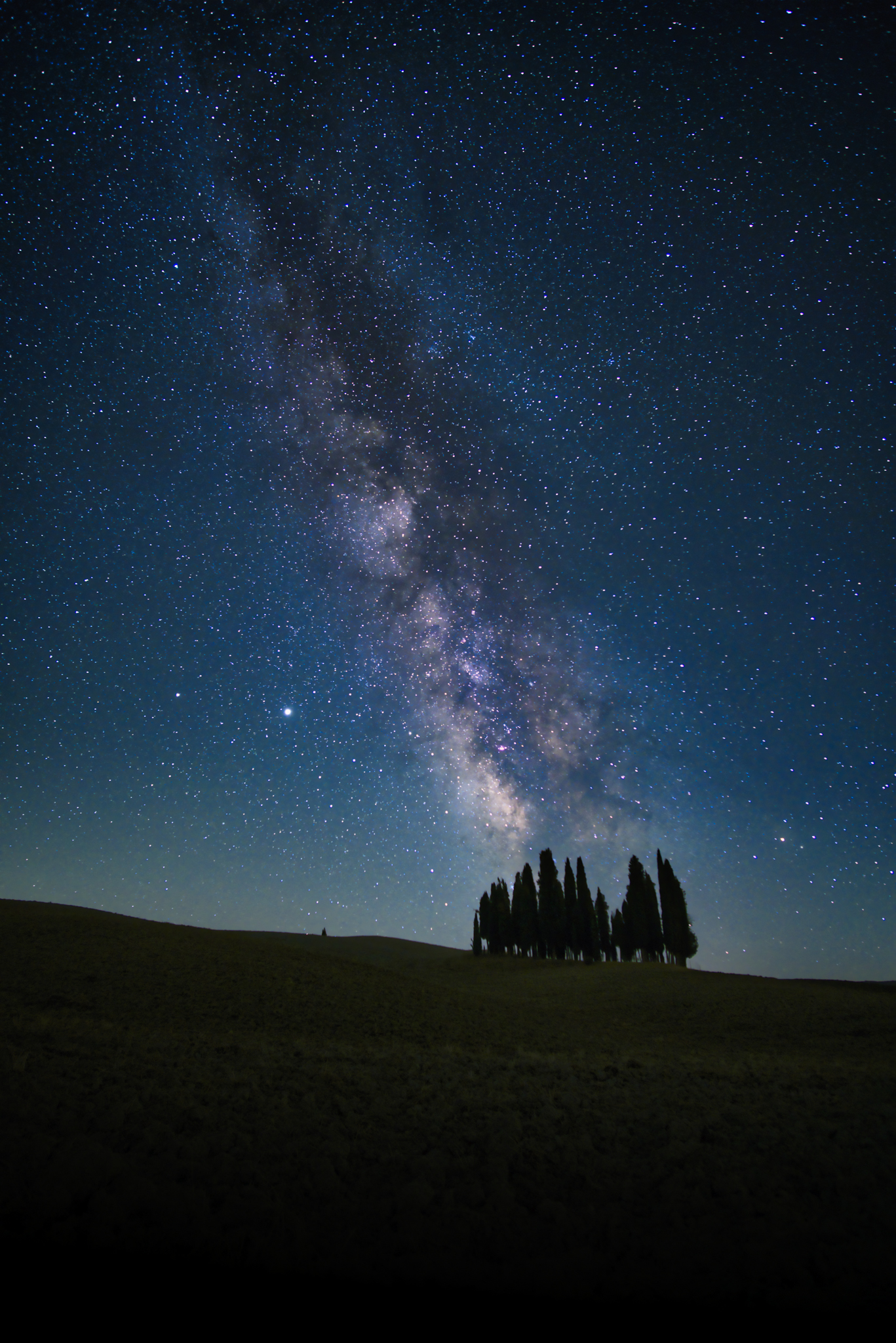 I cipressi danzano con le stelle