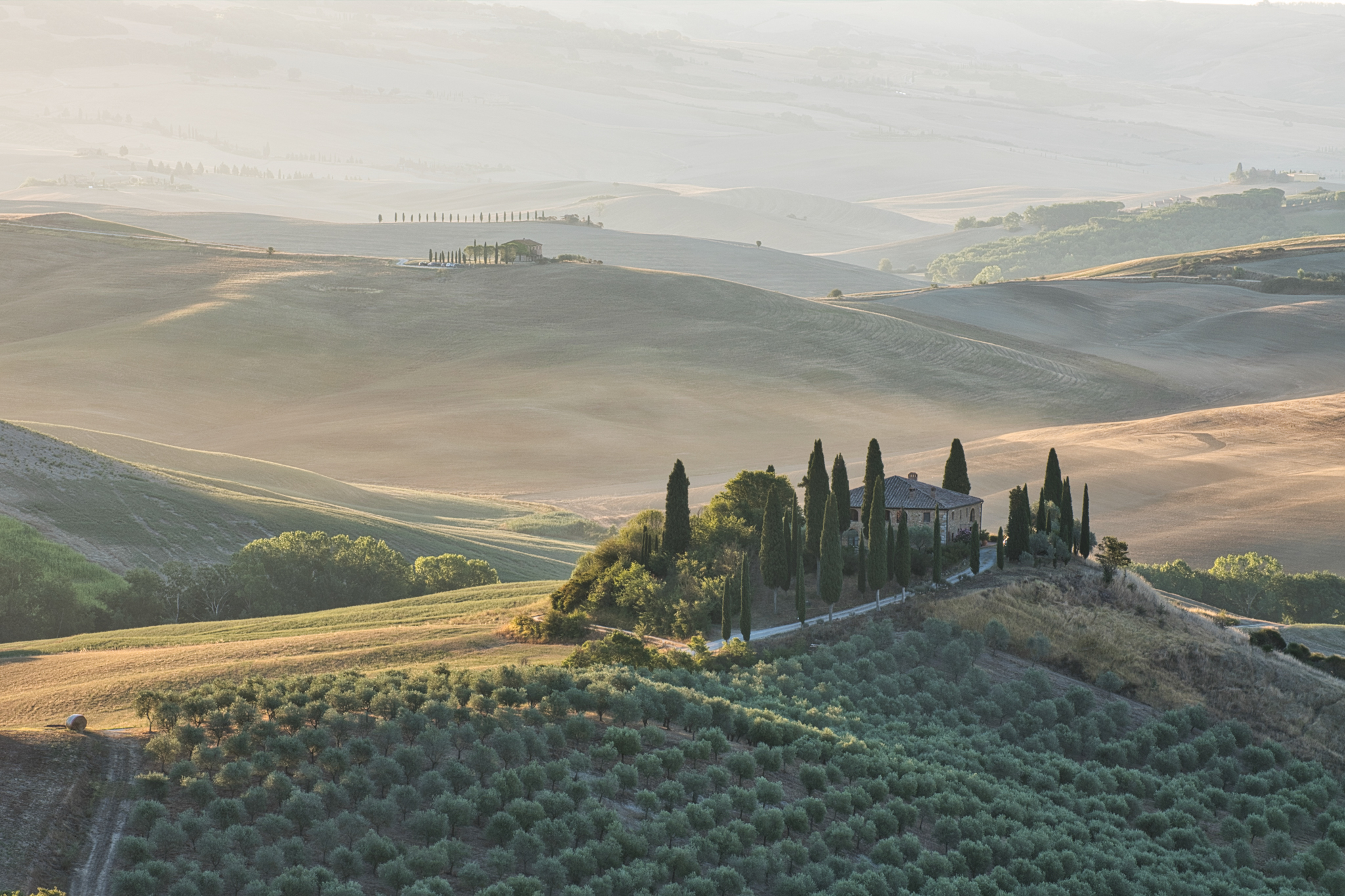 Belvedere