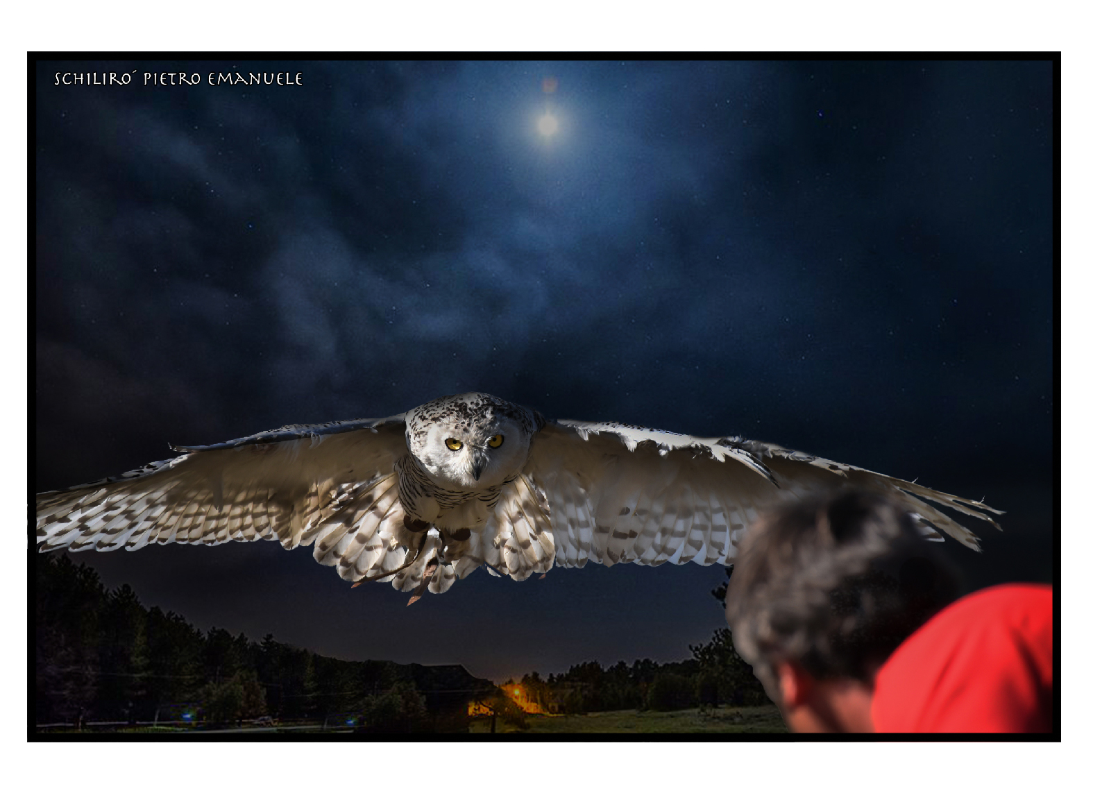 Man His Owl In the Moonlight - Graphic.