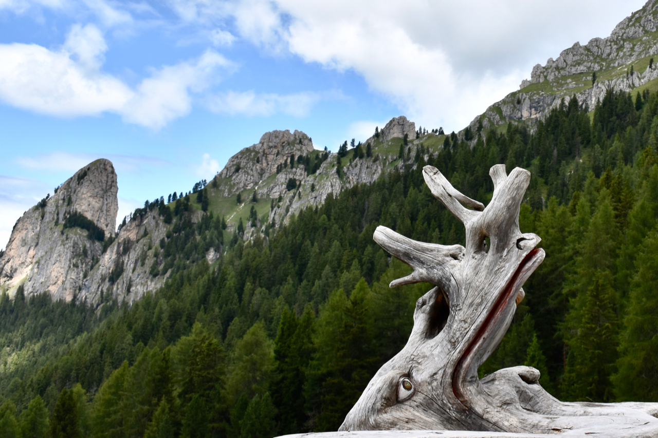 The dragon of the Dolomites found stretched out by the mount...