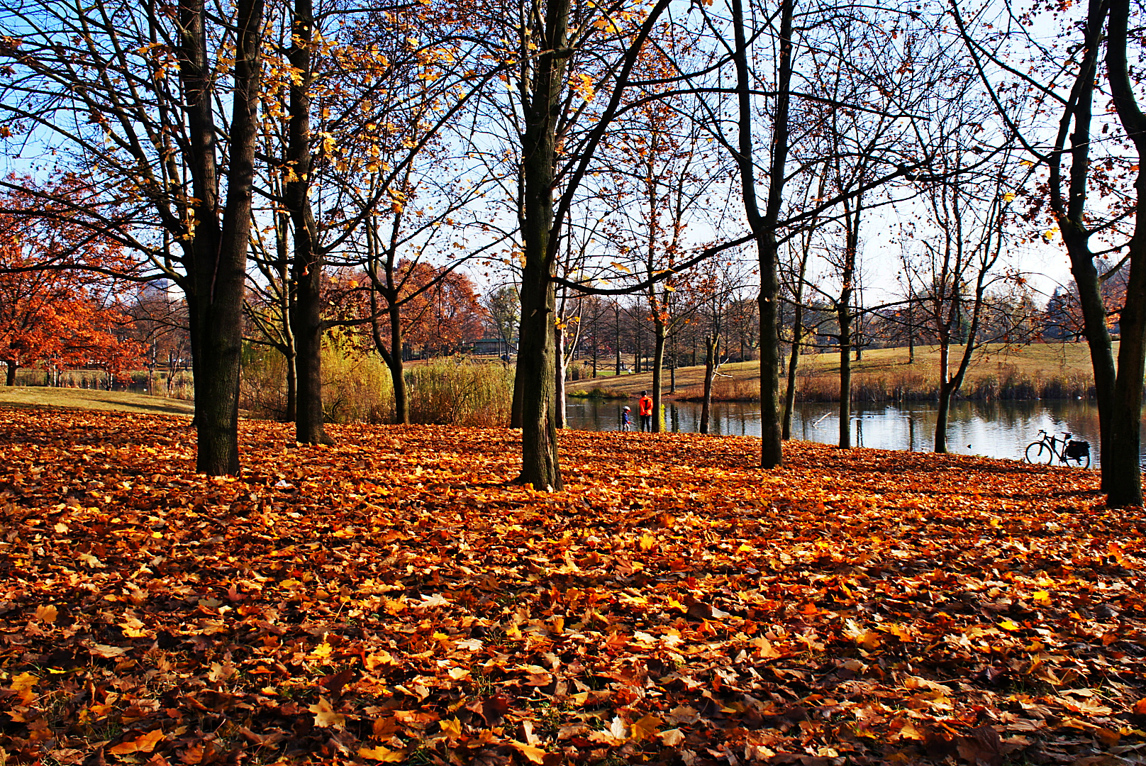 autumn at the leather park