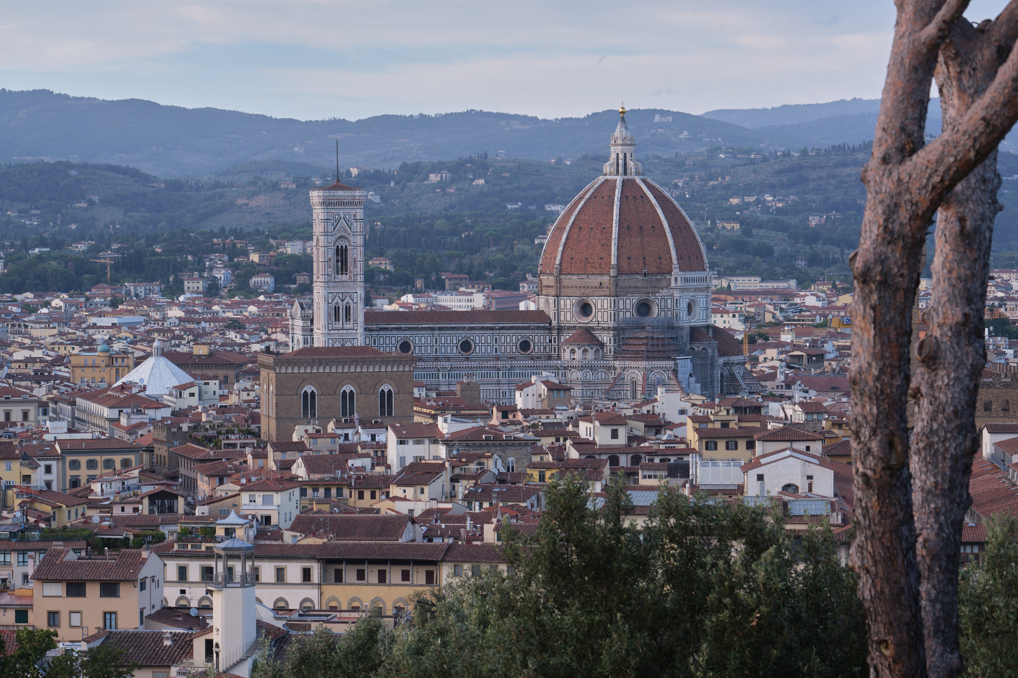 Il Duomo di Firenze