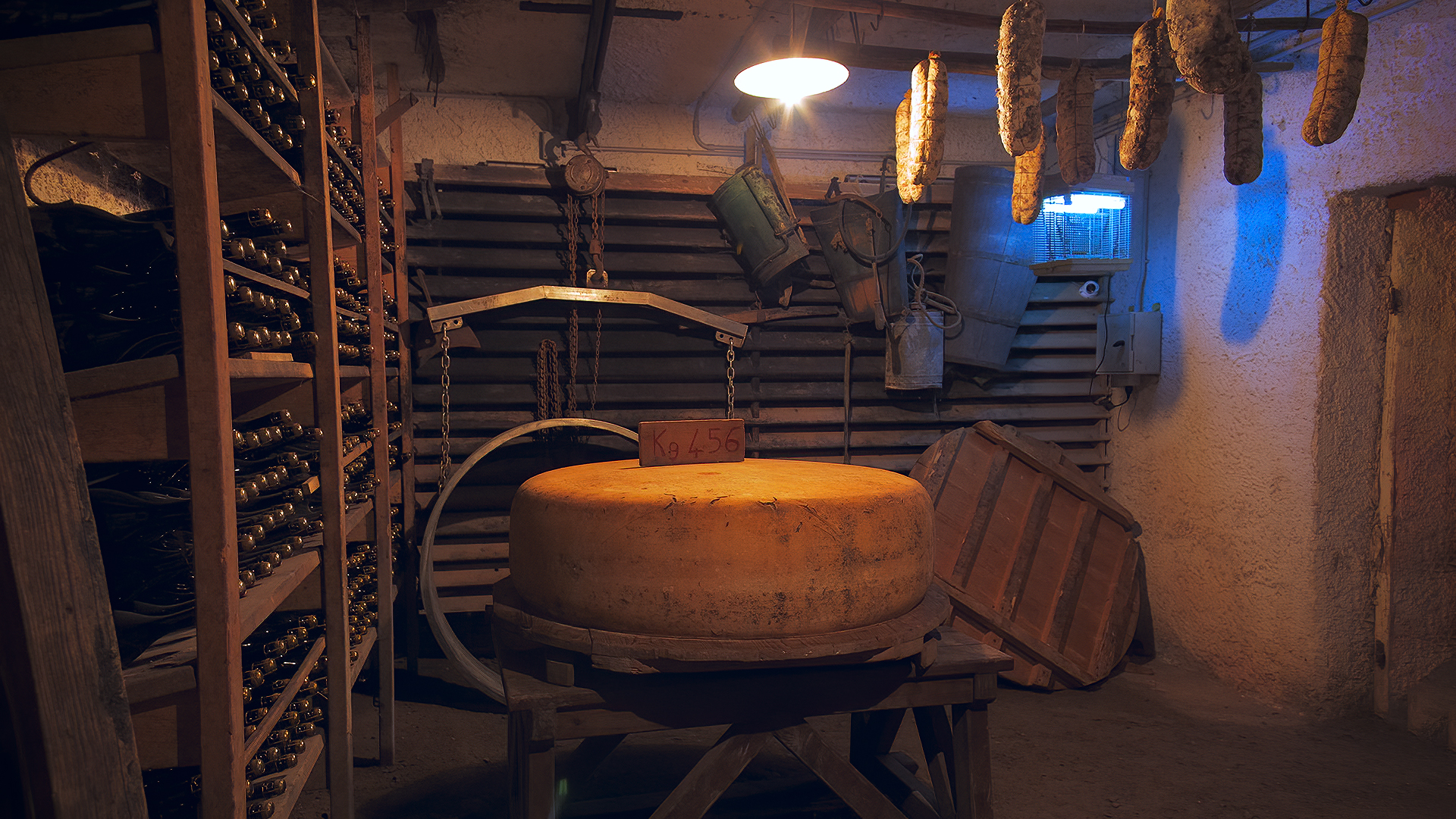 interno cantina di Cruccolo