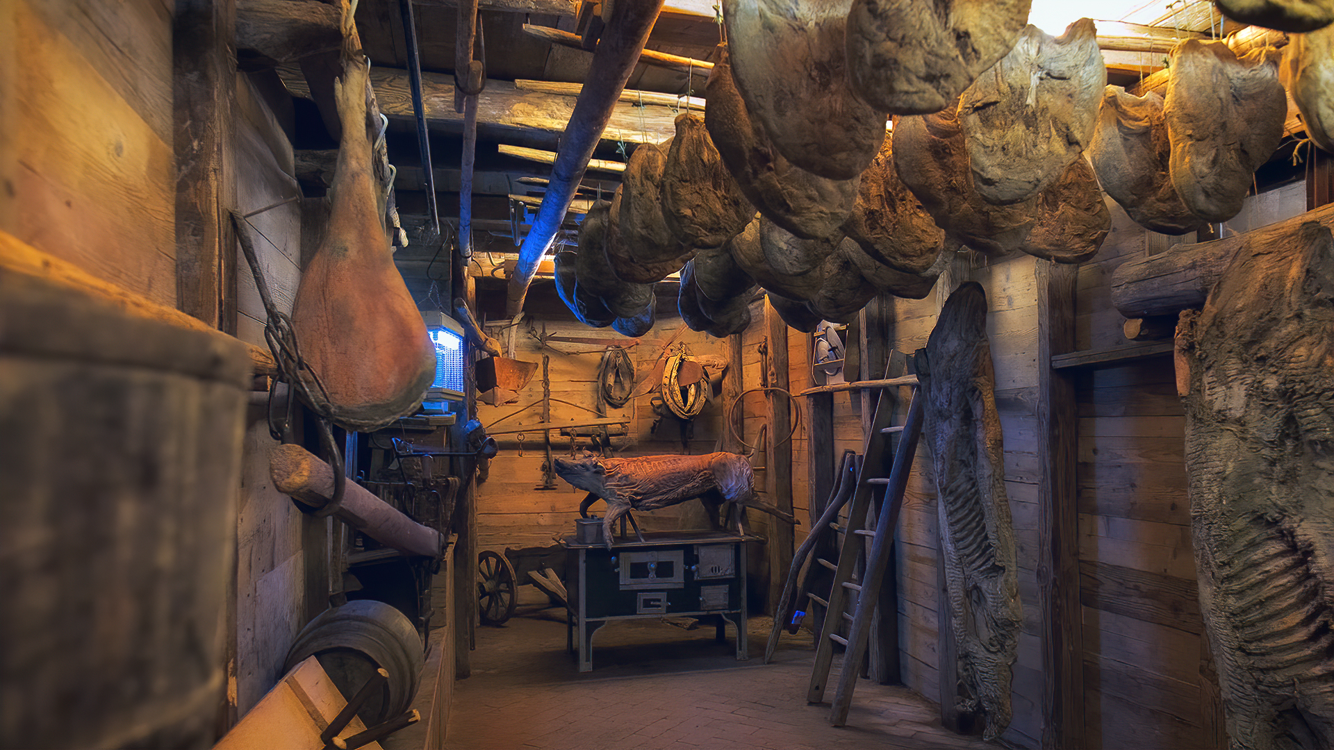 interno cantina di Cruccolo2