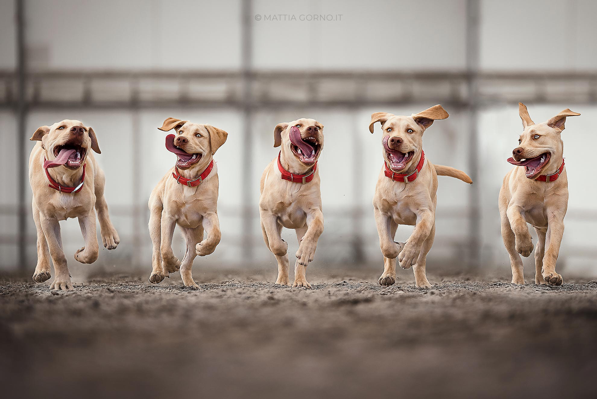 One shot is not enough