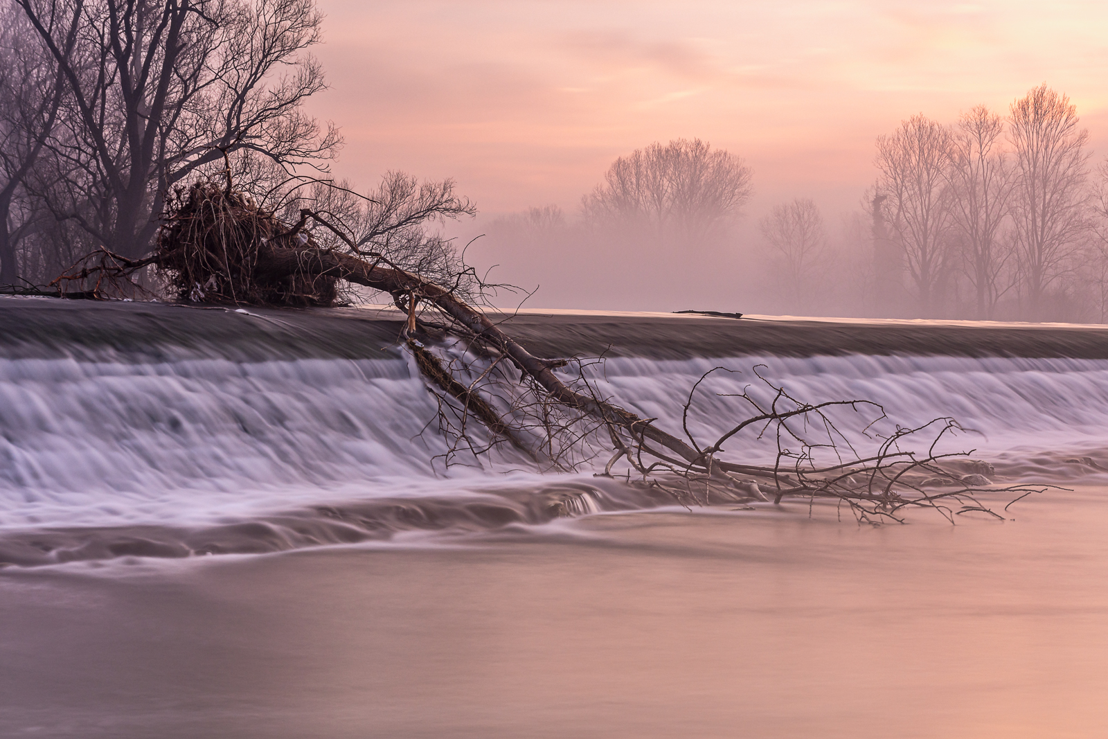 The sunrise after the flood
