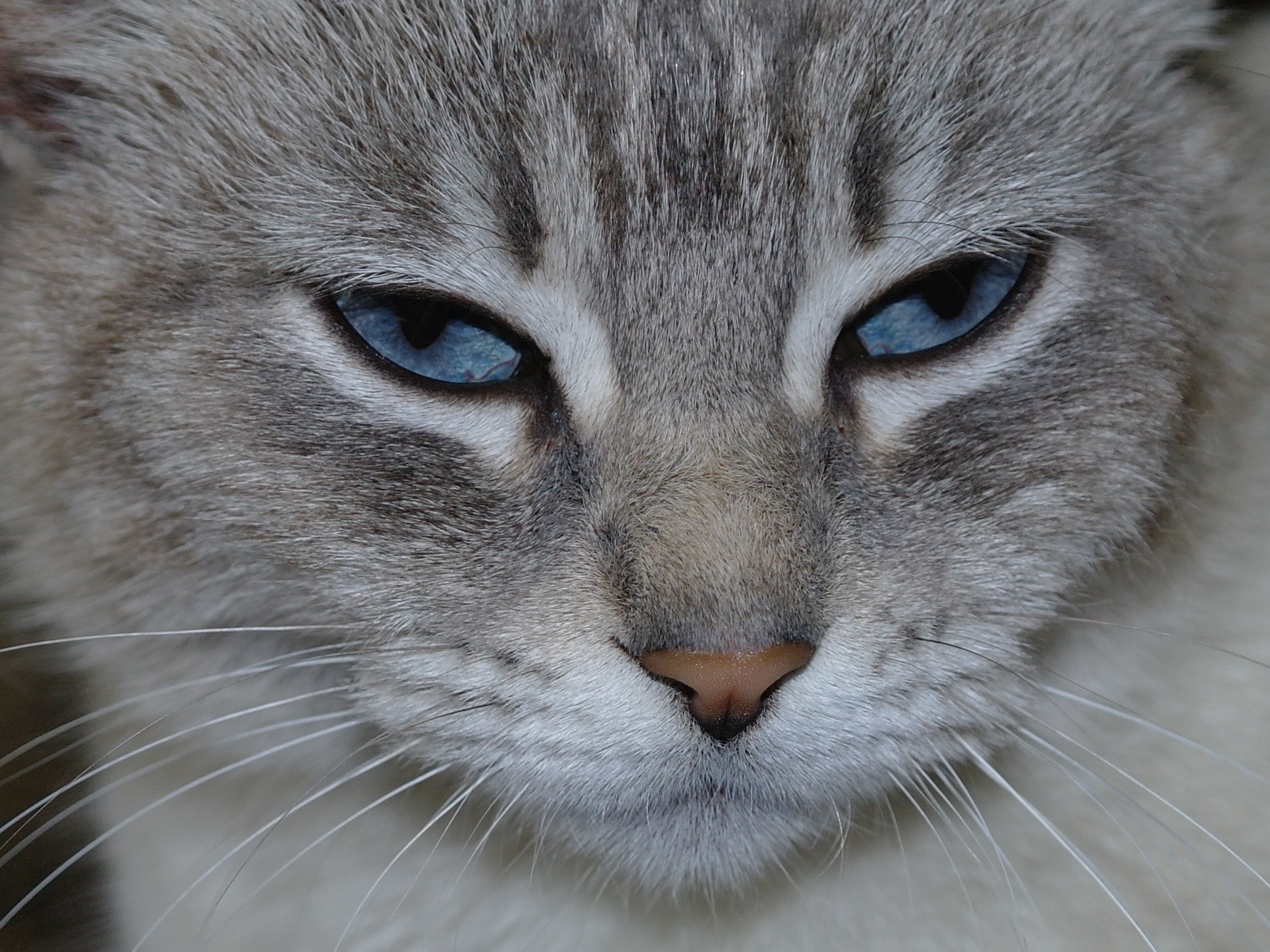 Solo per i tuoi occhi...