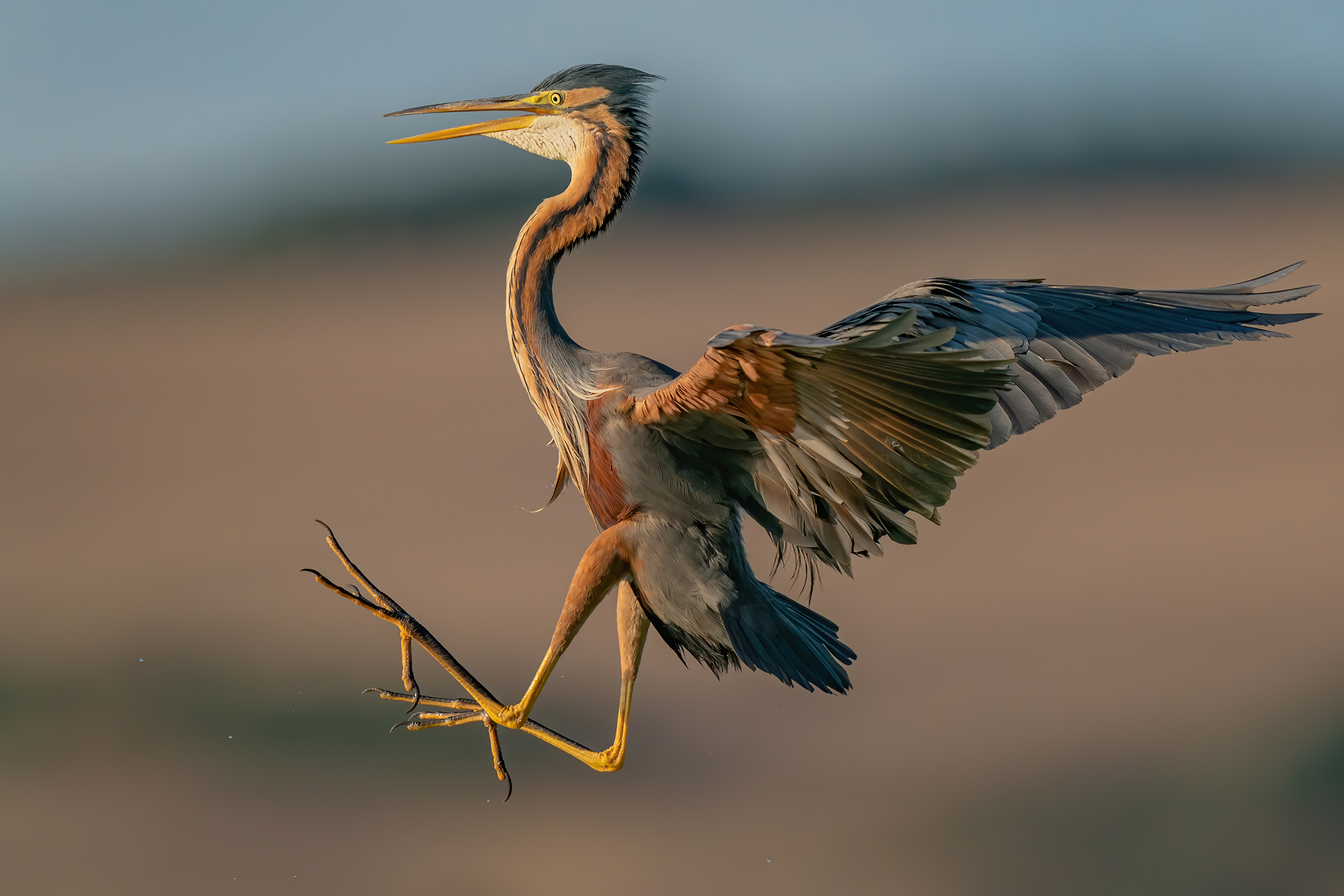 Red in the evening...