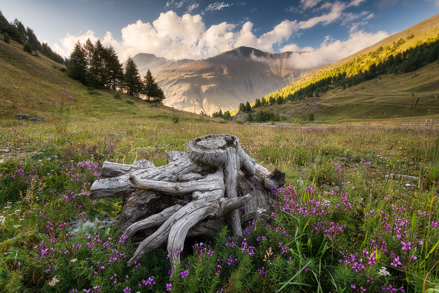 Sunset in argentera Valley
