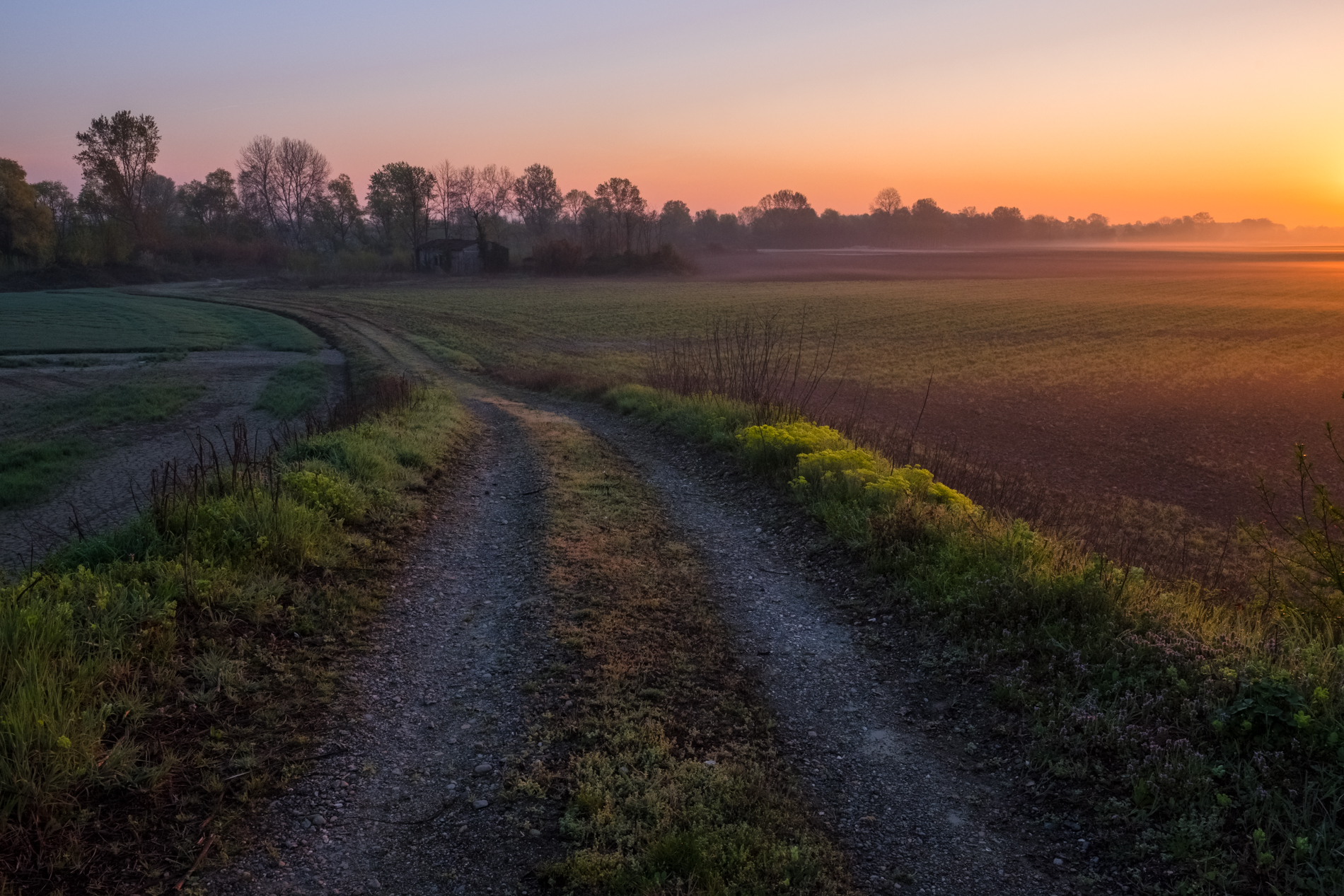 The Road to the Woods