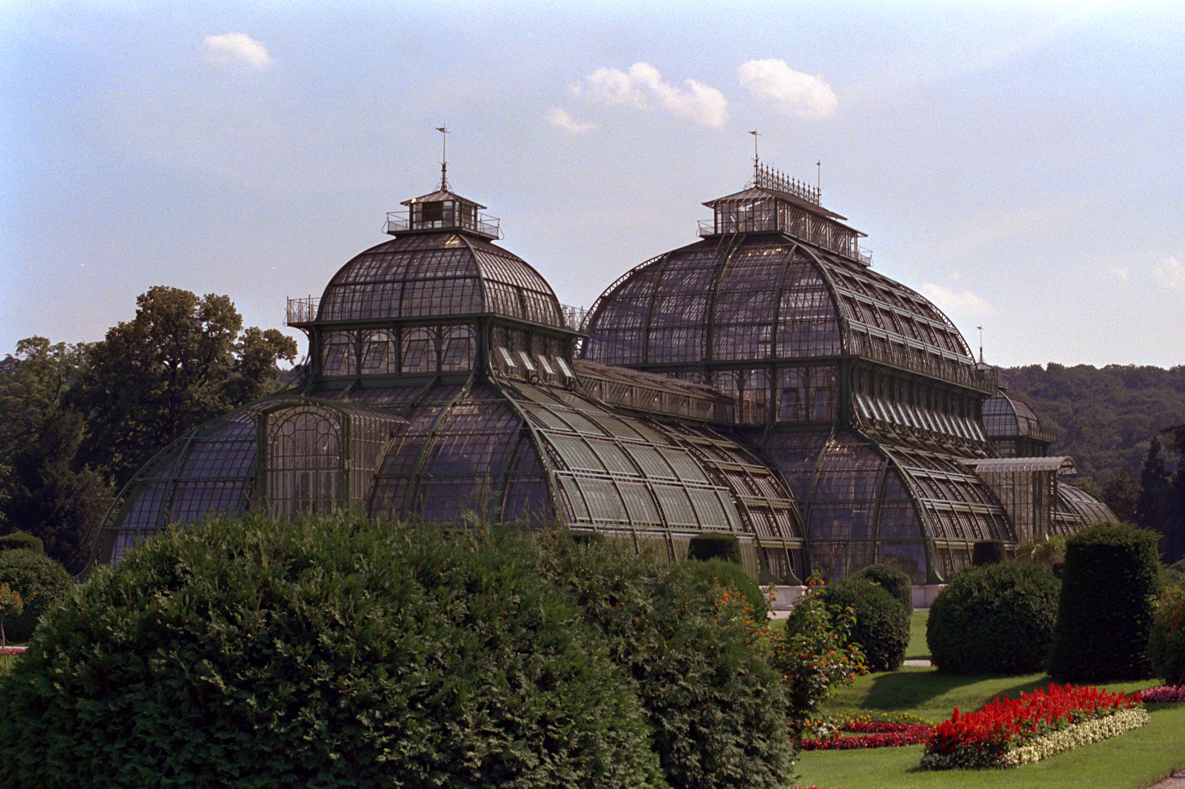 Palmenhaus - Schönbrunn '89