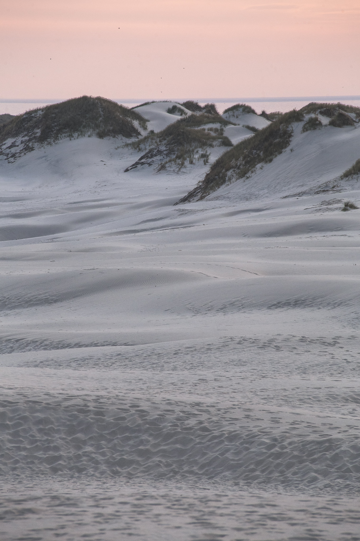 Denmark Dunes, New Hampshire