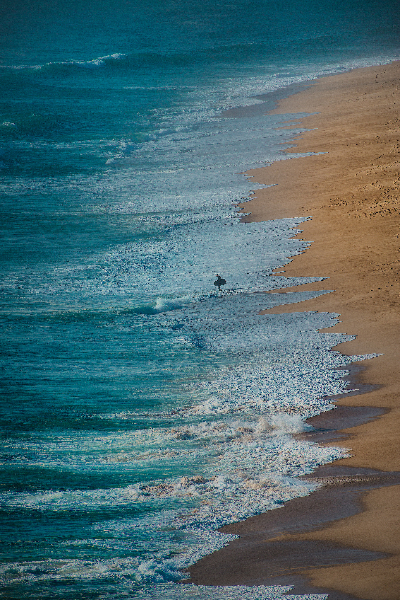 Il cavaliere del mare