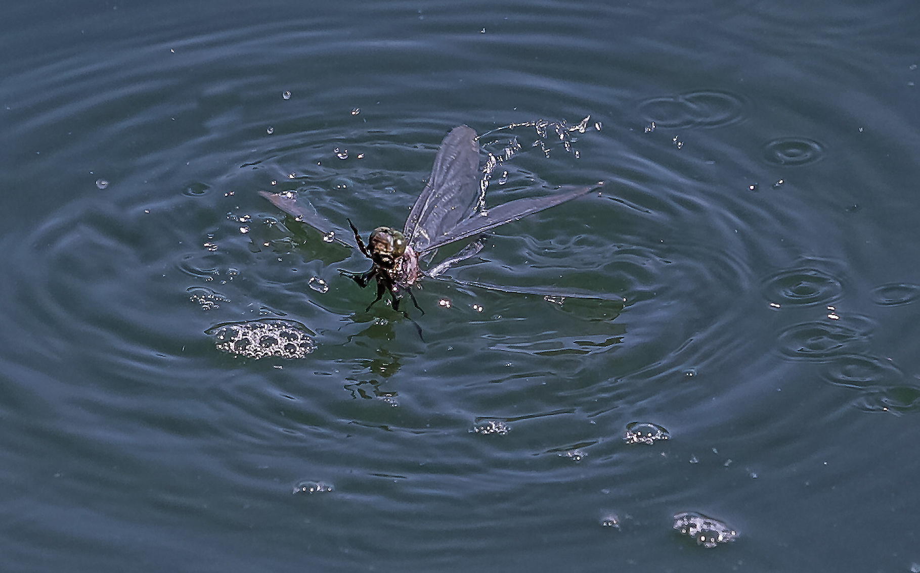 1 quando si dice di essere in cattive acque