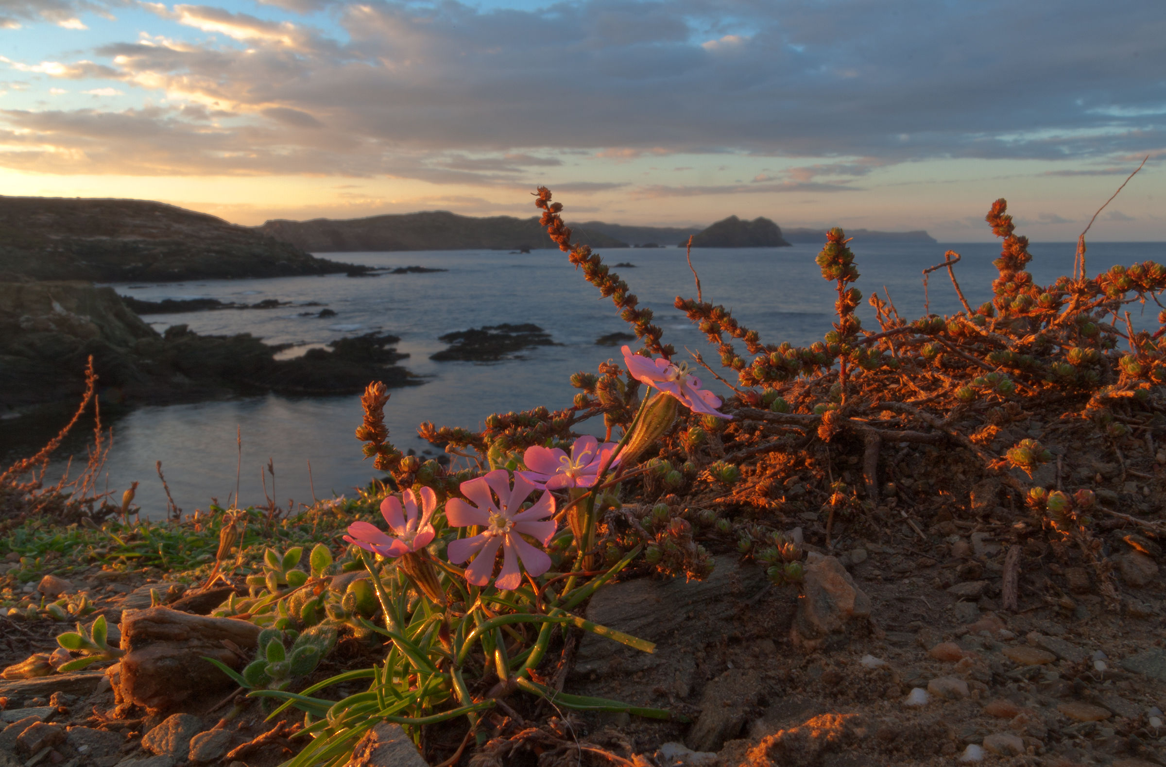 Cosce di donna Stintino