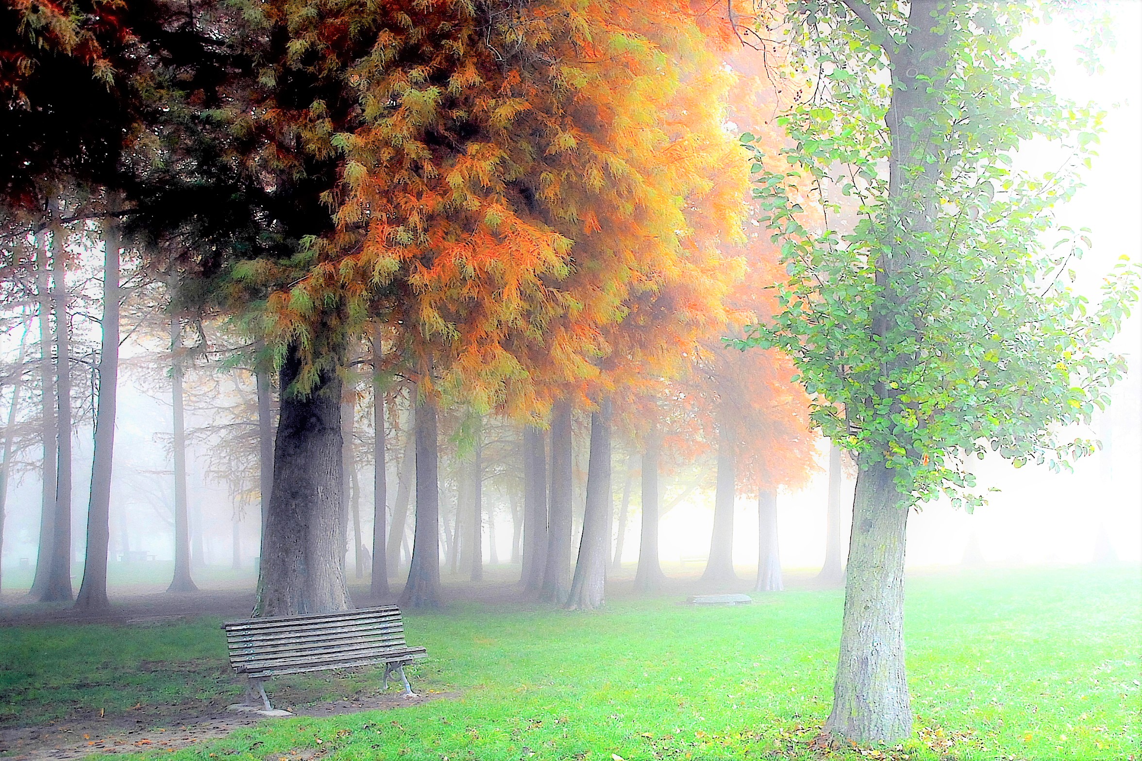 Lago di Varese - Parco Zanzi.