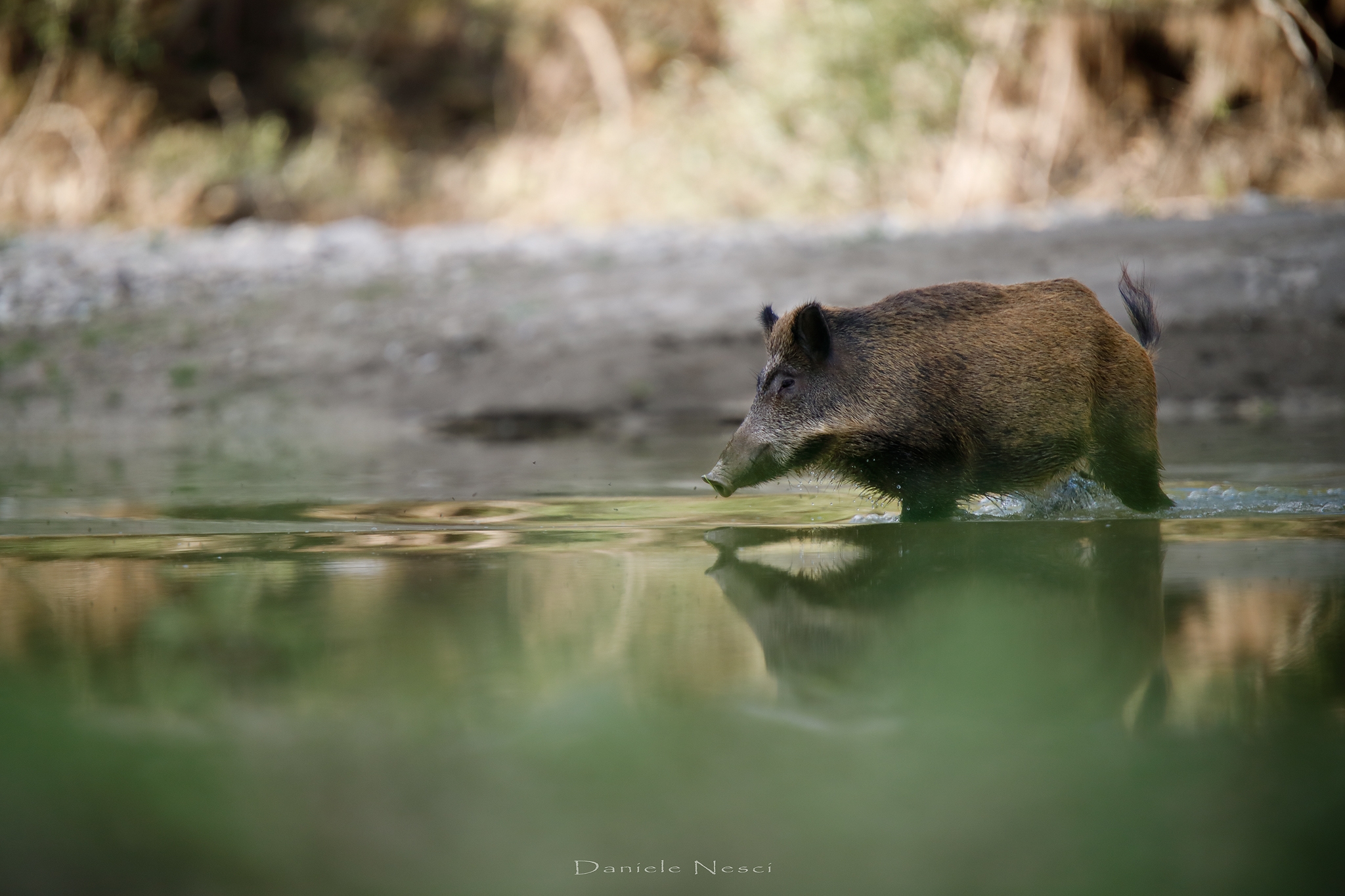 Attraversando il fiume...