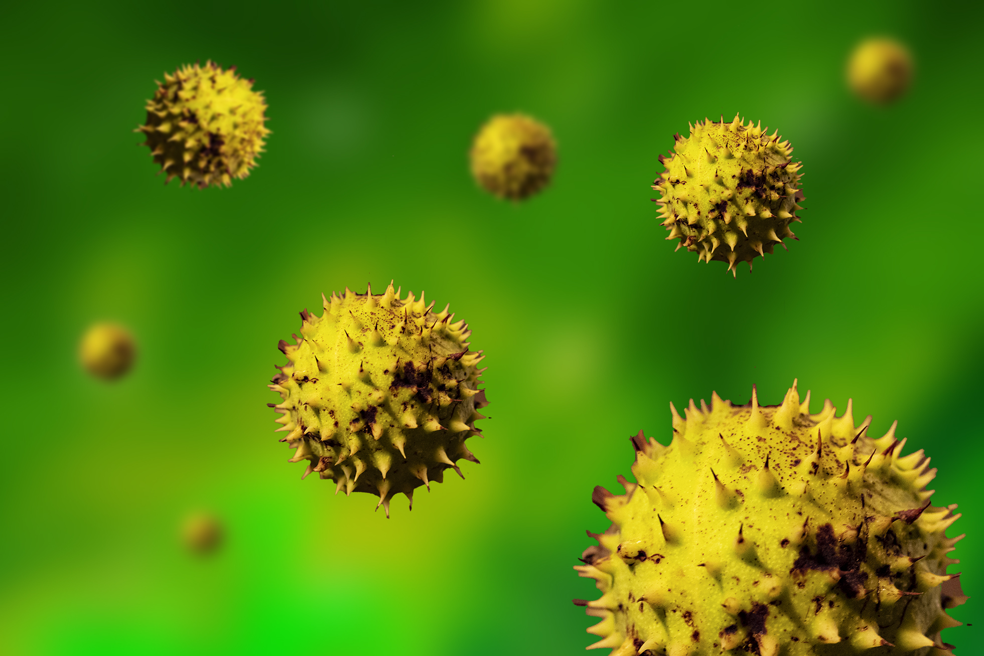 Coronavirus Autunnale