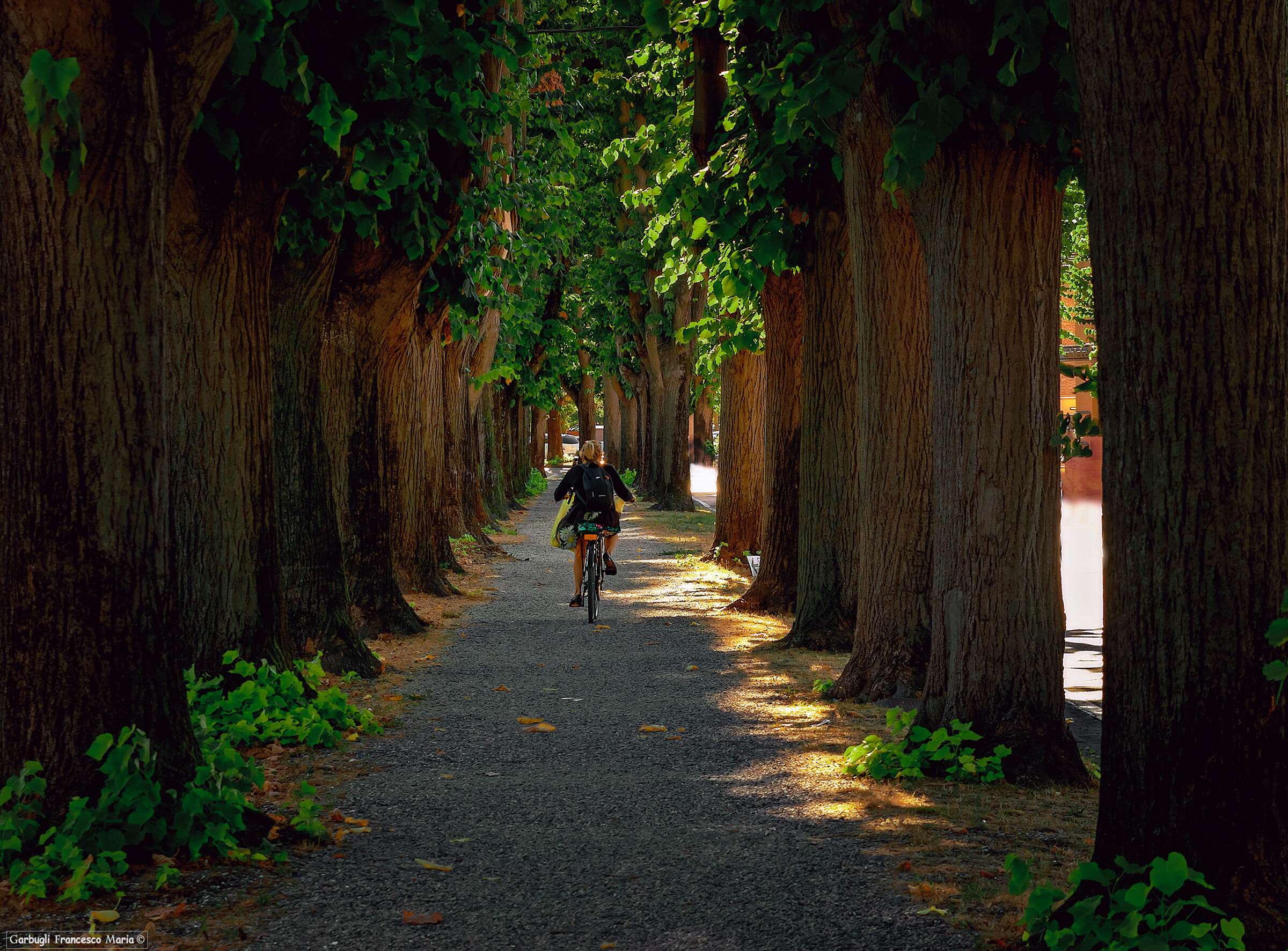 Giro in Bici a Lucca