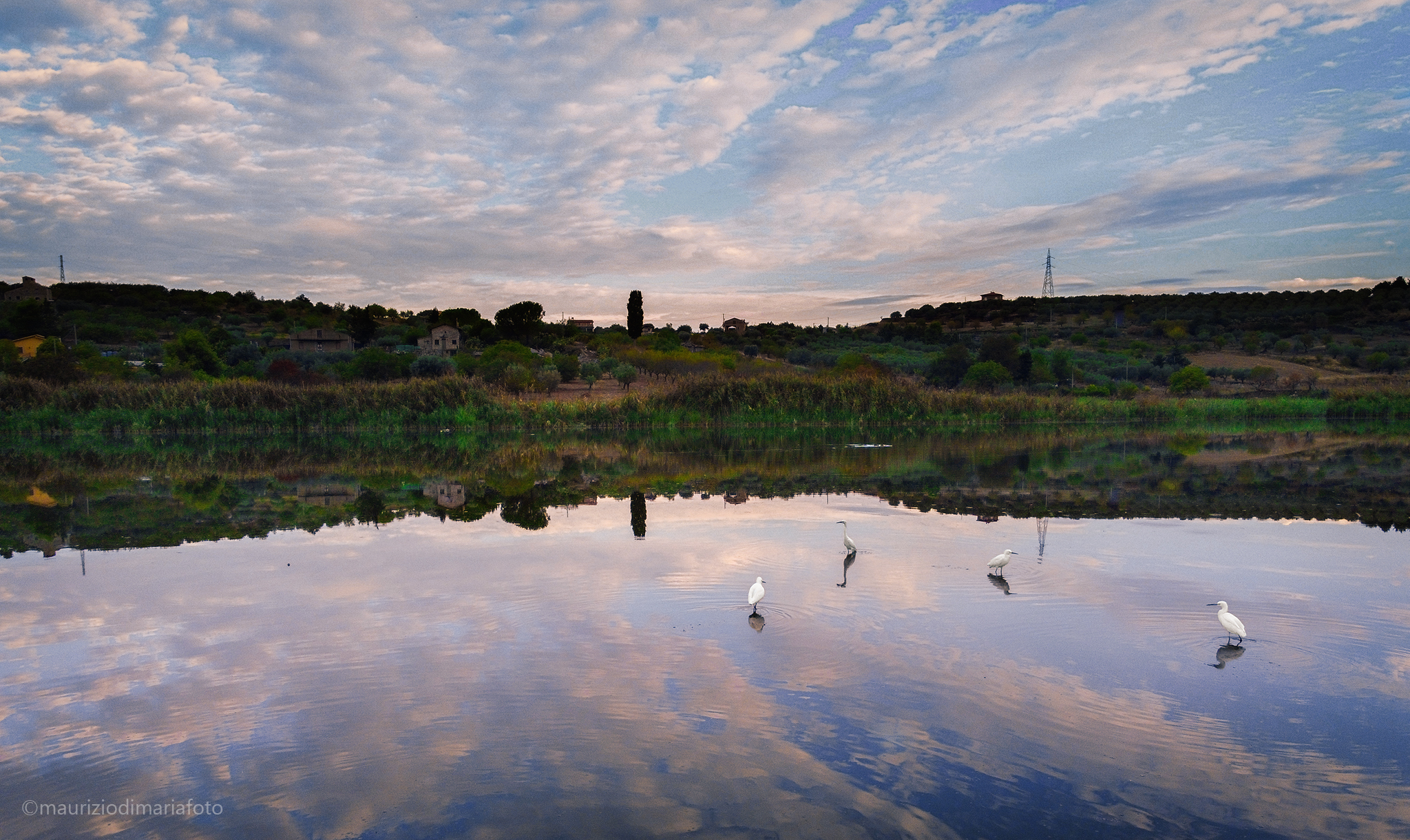 Sulla sponda del lago..
