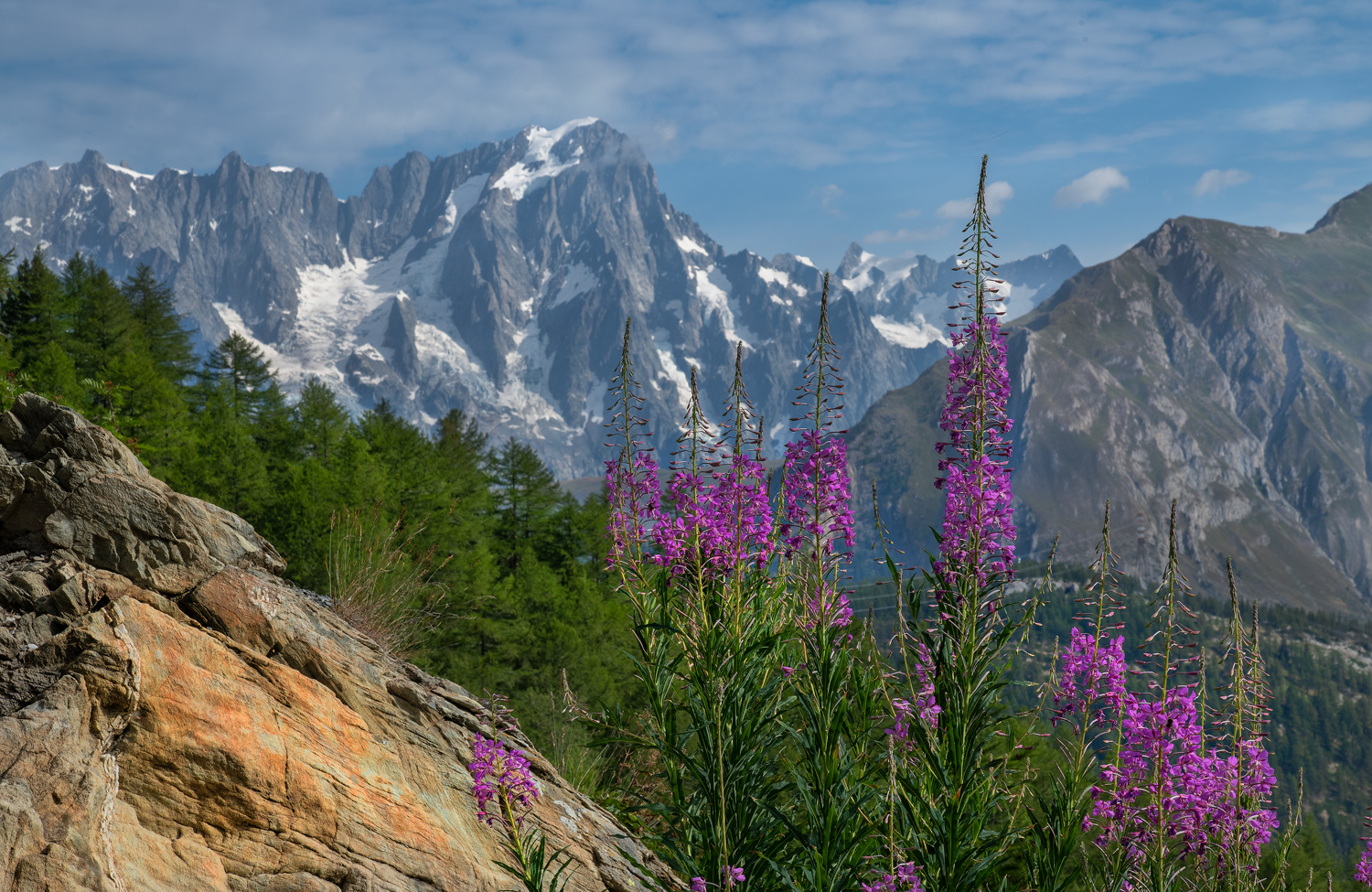 una sfumatura del Bianco