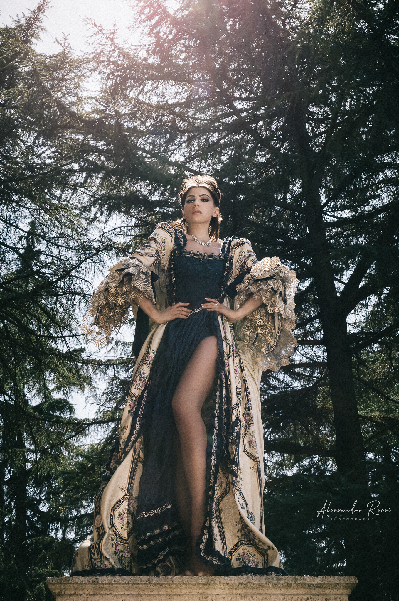 THE Q U E E N ViKtoria..