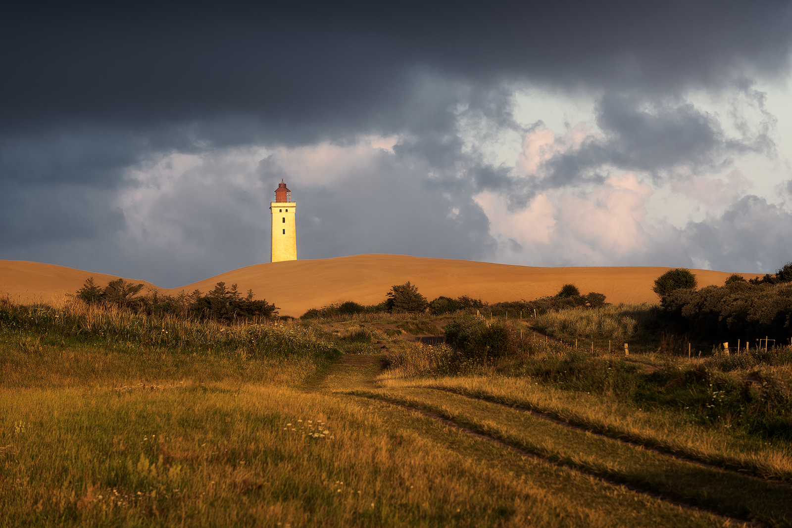 Faro Rubjerg alba