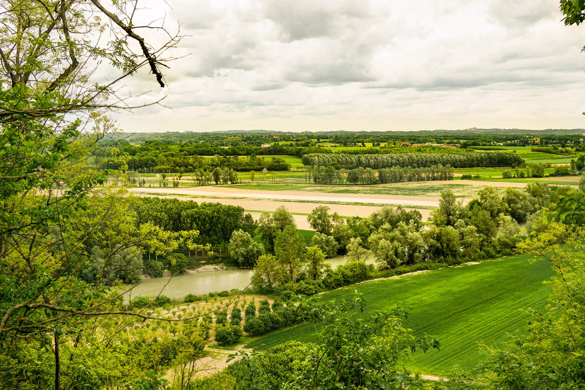 50 sfumature di verde