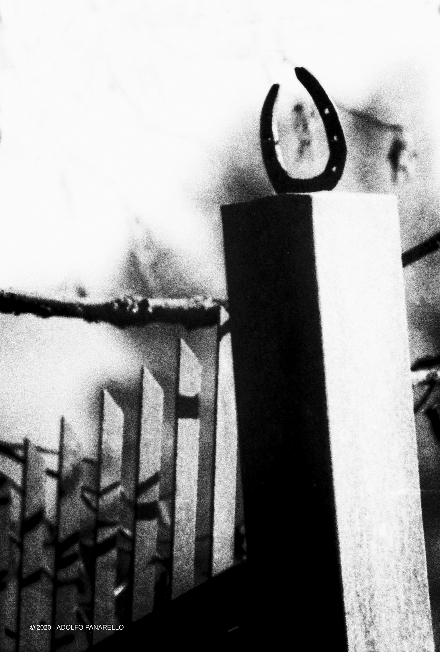 Hanging to fortunes...