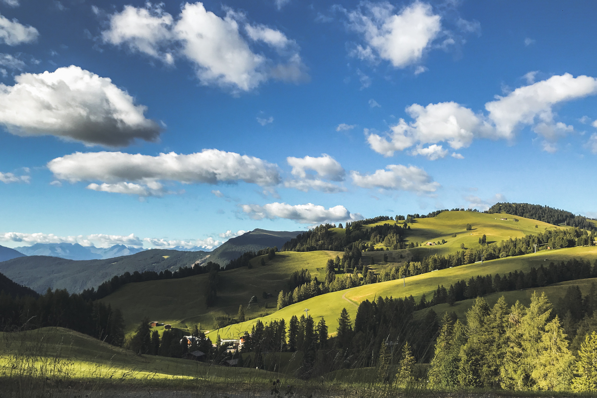 Alpe di Siusi (Agosto 2020)