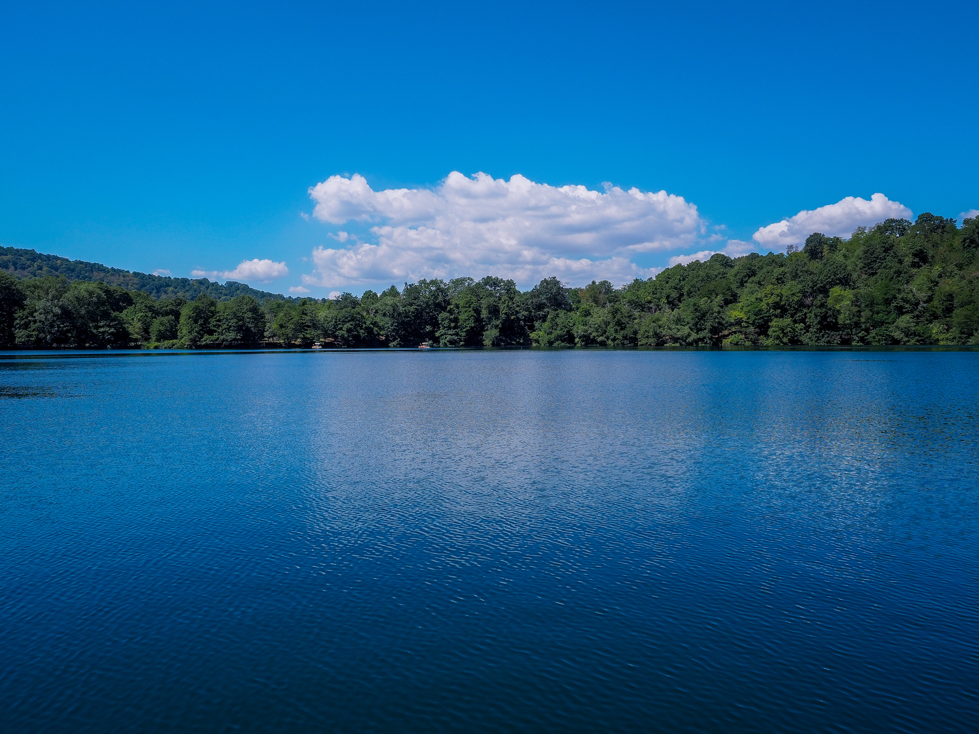 Un timido tuffo nell'azzurro