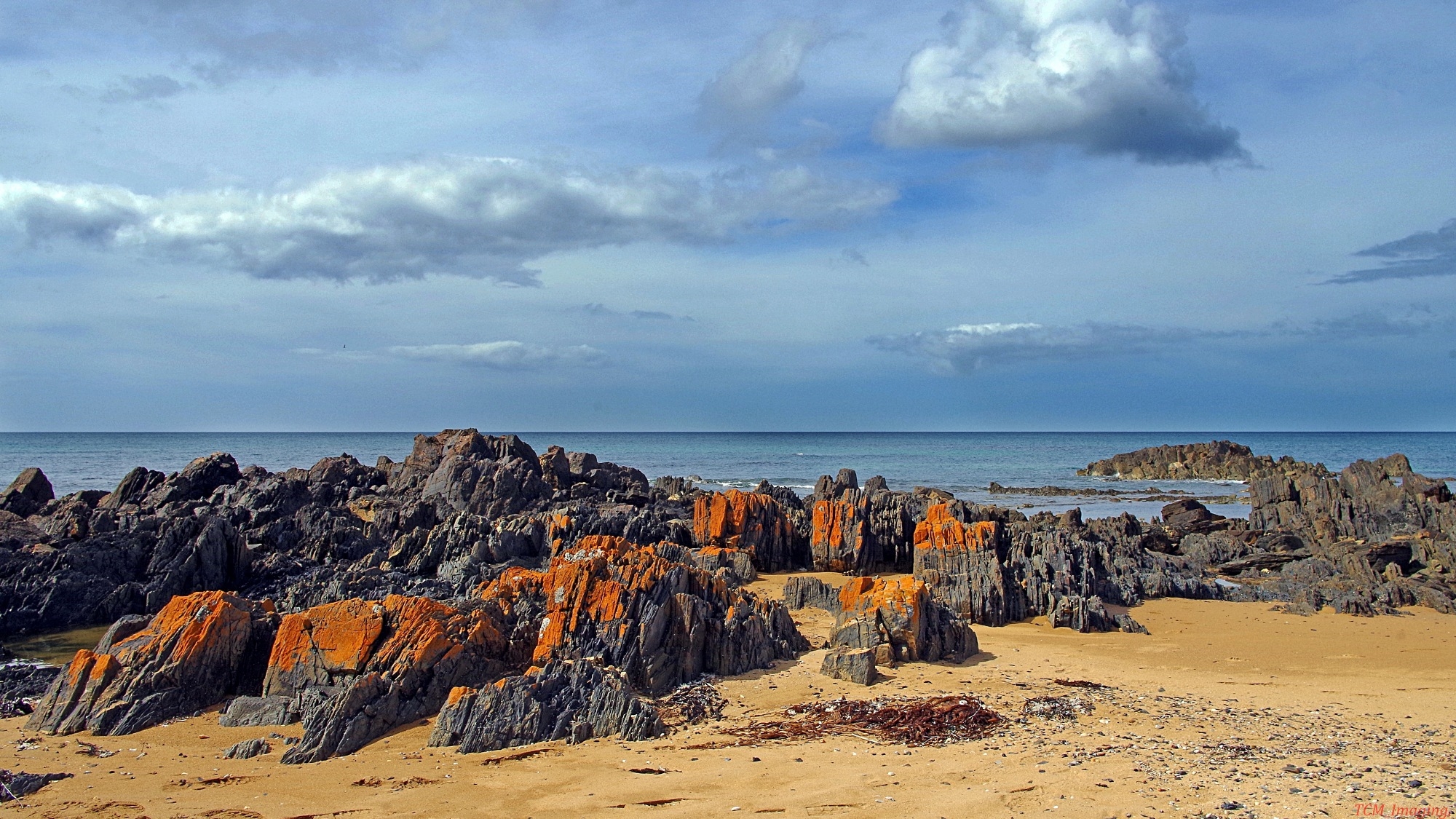 NW Tasmanian litorale.