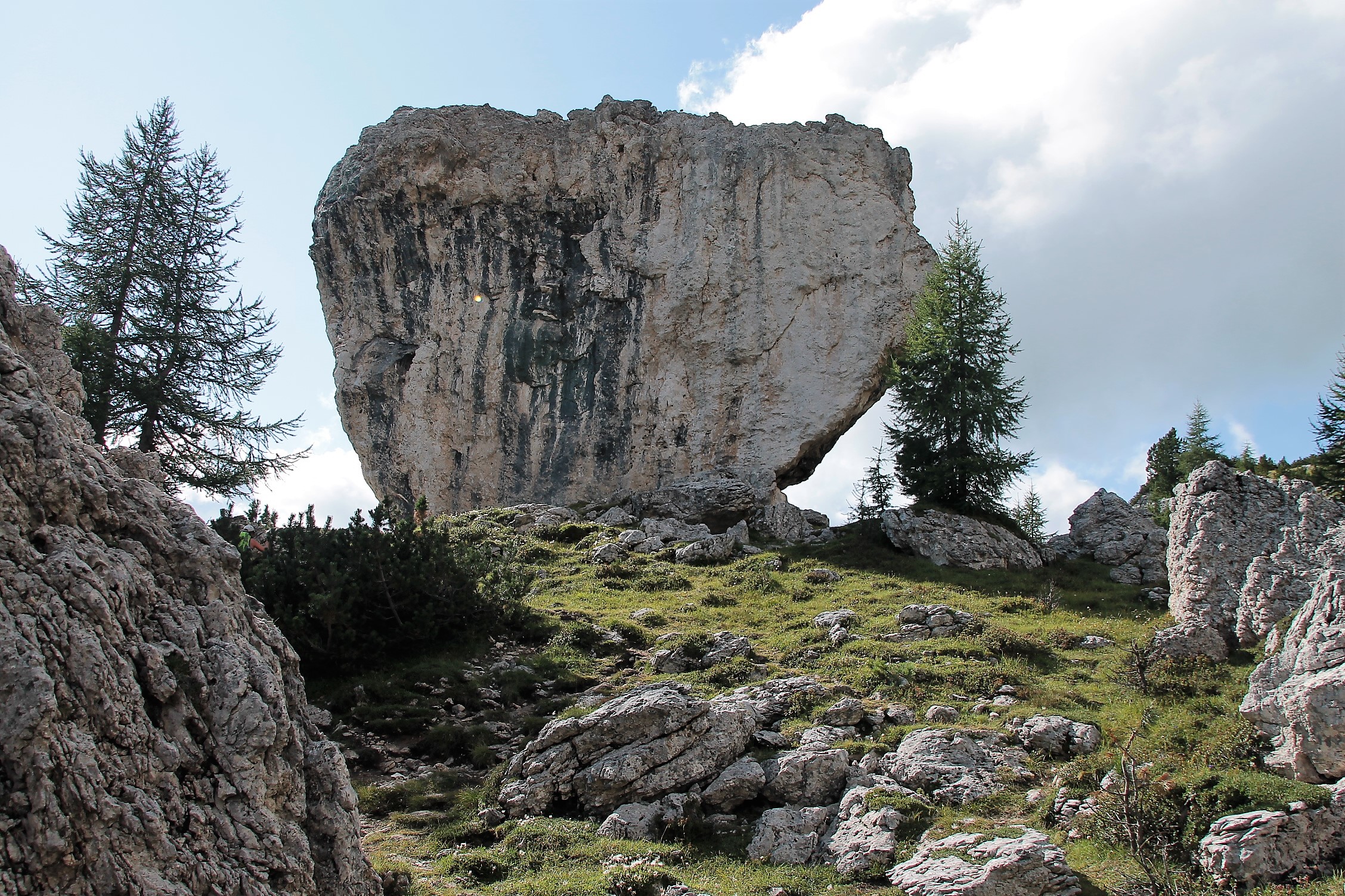Sembra piovuto dal cielo