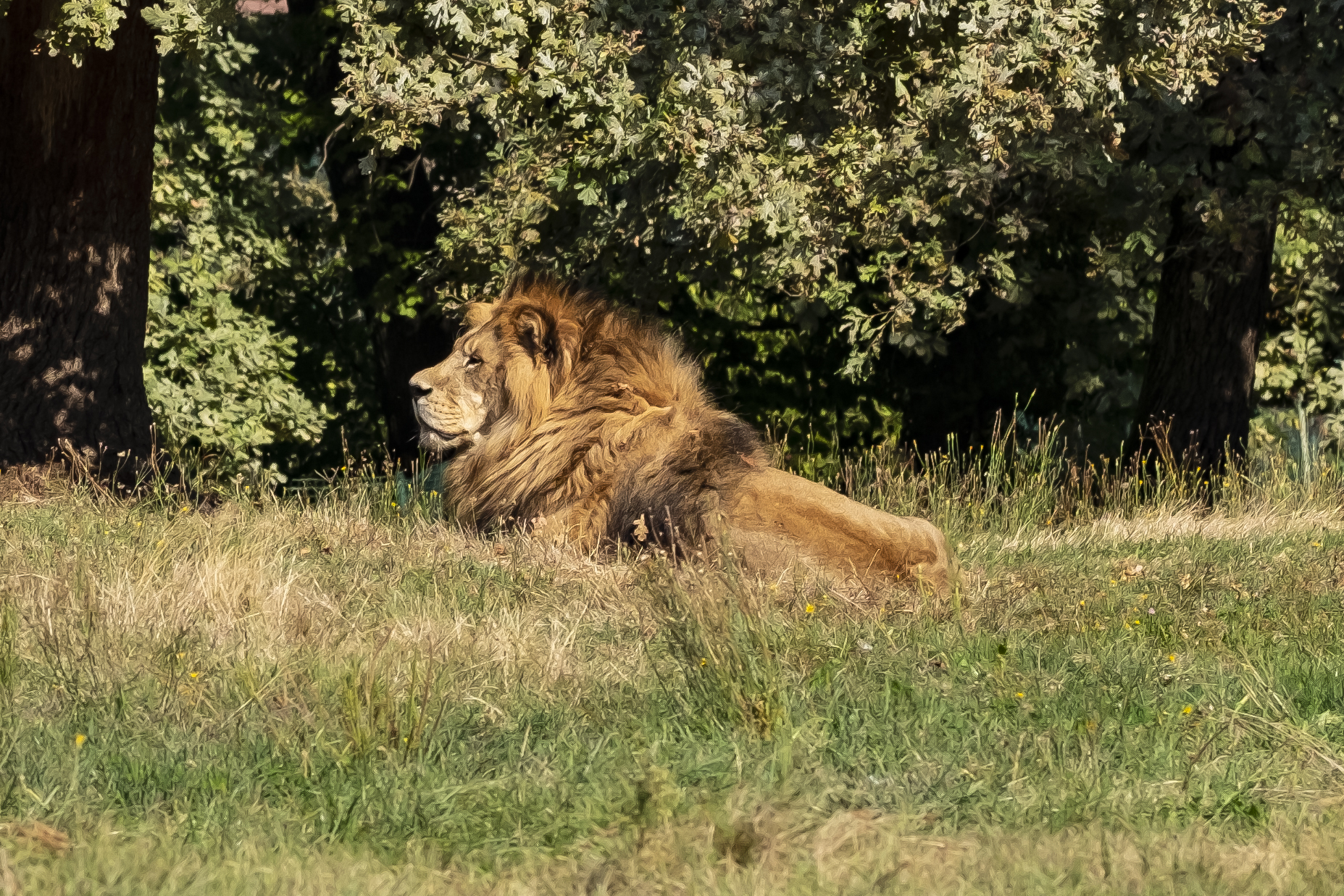 safaripark lago maggiore