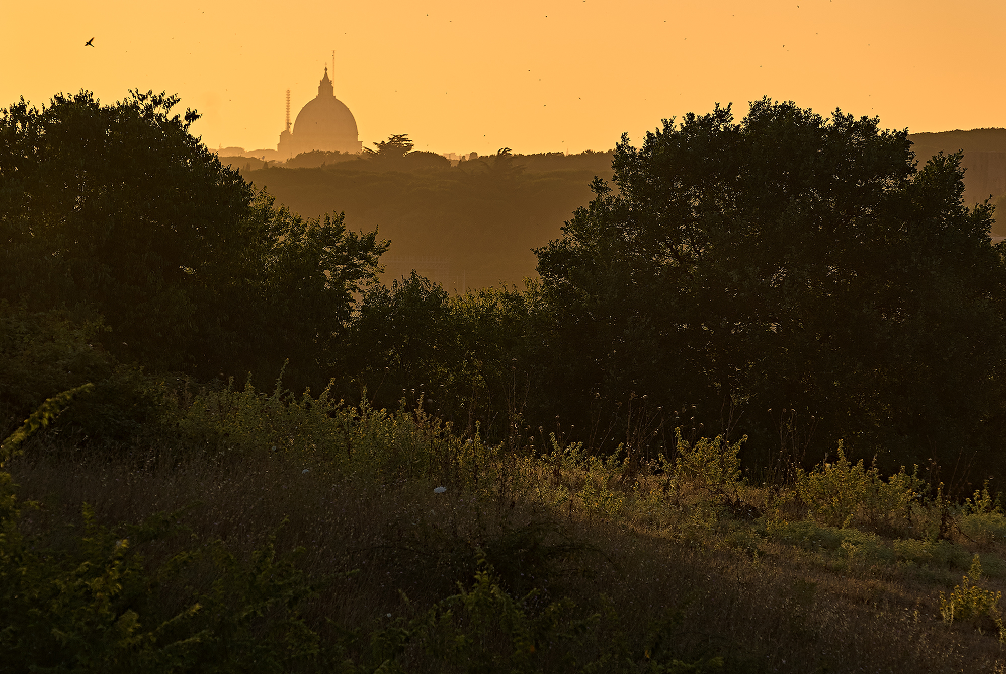 Er cupolone seen from The Caffarella Park